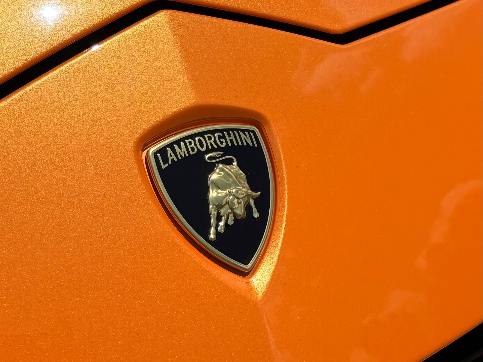 
								2021 Lamborghini Urus full									